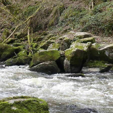 La Belle Aventure Villa Fresselines Kültér fotó